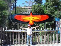 Le condor