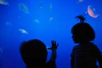 Sous la mer