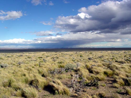167PAMPA