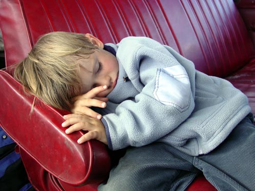 237SIESTE