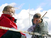 LES PIRATES