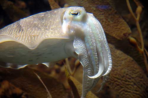 661en