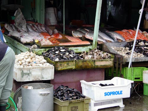 993POISSONS