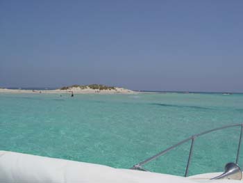 DSC01406