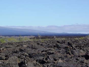 ENCORELEDESERT