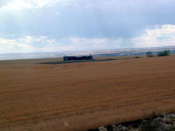 Ferme