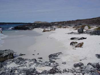 LAPLAGE