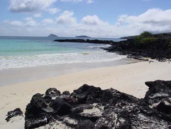 PLAGEAFLOREANA