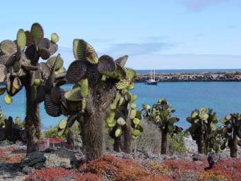 PLAZASUR