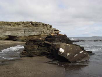 PUERTOEGAS