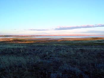 Paysage