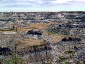 Paysage5