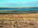 Paysage2